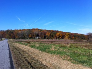 Beautiful Fall colors