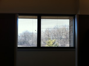 Old Cube View