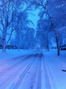 Twilight Walk on My Street