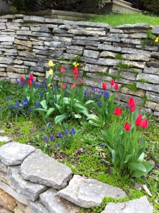 More color in the front bed