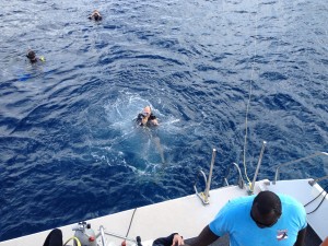 Buoyancy  check before descending - just off West Caicos